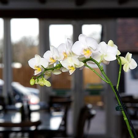 The Maple Manor Hotel Crawley  Esterno foto